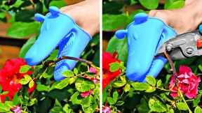Clever Growing Plant Hacks And Easy Garden Organization Ideas