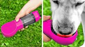 Amazing And Funny Pet Gadgets And Hacks