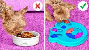 Must-Have Gadgets For Your Pets