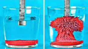 Amazing Science Experiments That You Can Do At Home