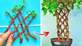 Awesome Plant Growing Hacks For Beginners