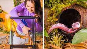 DIY PET HOUSE AND AWESOME GADGETS AND HACKS