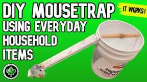 DIY MOUSETRAP Using Everyday Household Items