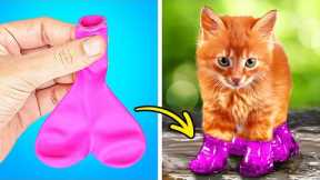 CUTE TIKTOK PET HACKS | CLEVER GADGETS AND FUNNY CRAFTS