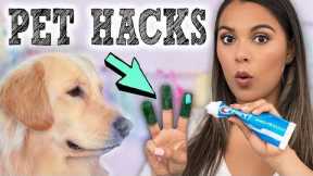 DIY Pet Hacks & Gadgets Put to the Test! Useful Inventions for your Dogs!