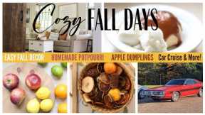 Fall Food Ideas ~ Easy Fall Projects ~ Homemade Potpourri ~ Fall Pillow ~ Homemade Apple Dumplings