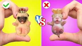 Rich Dog VS Poor Dog *Viral Gadgets and DIY Hacks With Rich VS Poor Pet Owners * by Gotcha! Hacks