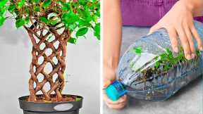 Plants Growing Tips And Gardening Hacks For Beginners