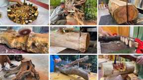 Regenerate Discarded Stumps Projects // Unique Furnitures Made From Tree Stumps And Logs
