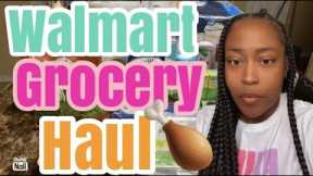 WALMART GROCERY/HOUSEHOLD ITEMS HAUL| WHAT WE BOUGHT WITH OUR FOOD STAMPS 😳
