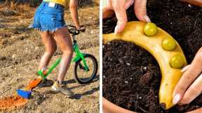 Clever Plant Growing Hacks And DIY Gardening Ideas