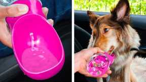 Cool Dog Gadgets And Lovely Crafts For Cats 🐈🐕 Genius Pet Hacks That Will Make Your Life Easier
