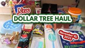 Fun DOLLAR TREE HAUL!  Fun Finds!  November 10, 2023