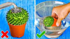 Plant Growing Hacks And Smart Gardening Tips
