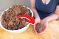 How to Make Paper Pulp from Cardboard 